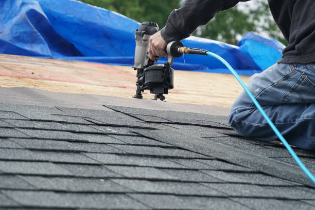 Roof Moss and Algae Removal in Hudson Oaks, TX